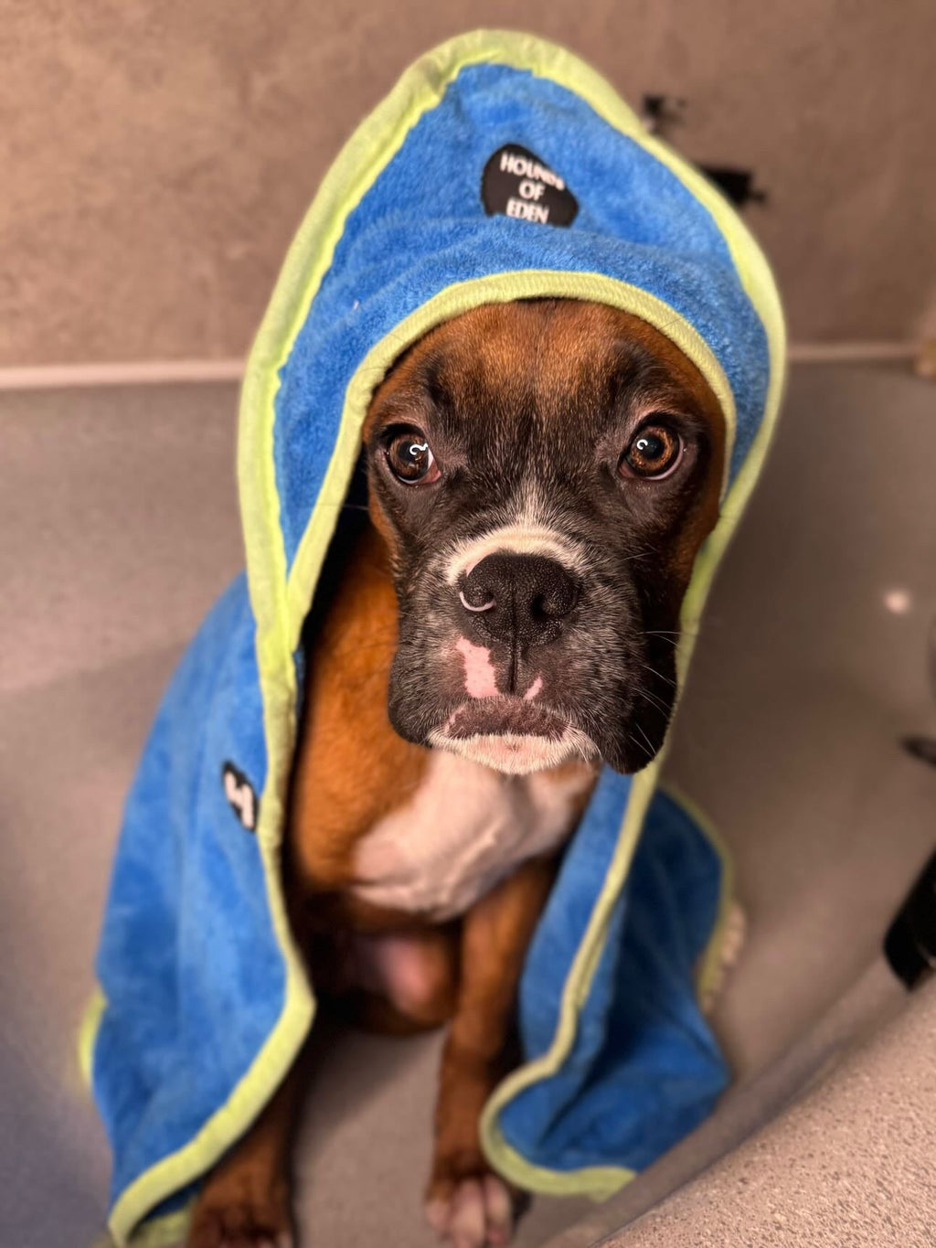 Microfibre Dog Towel