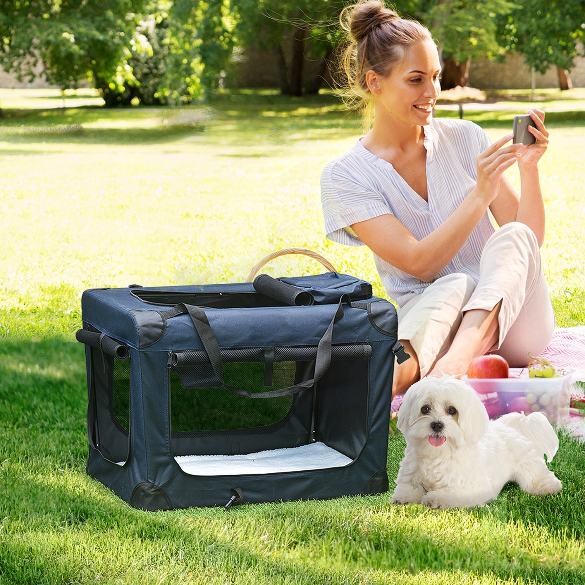 Pet Carrier (Small)