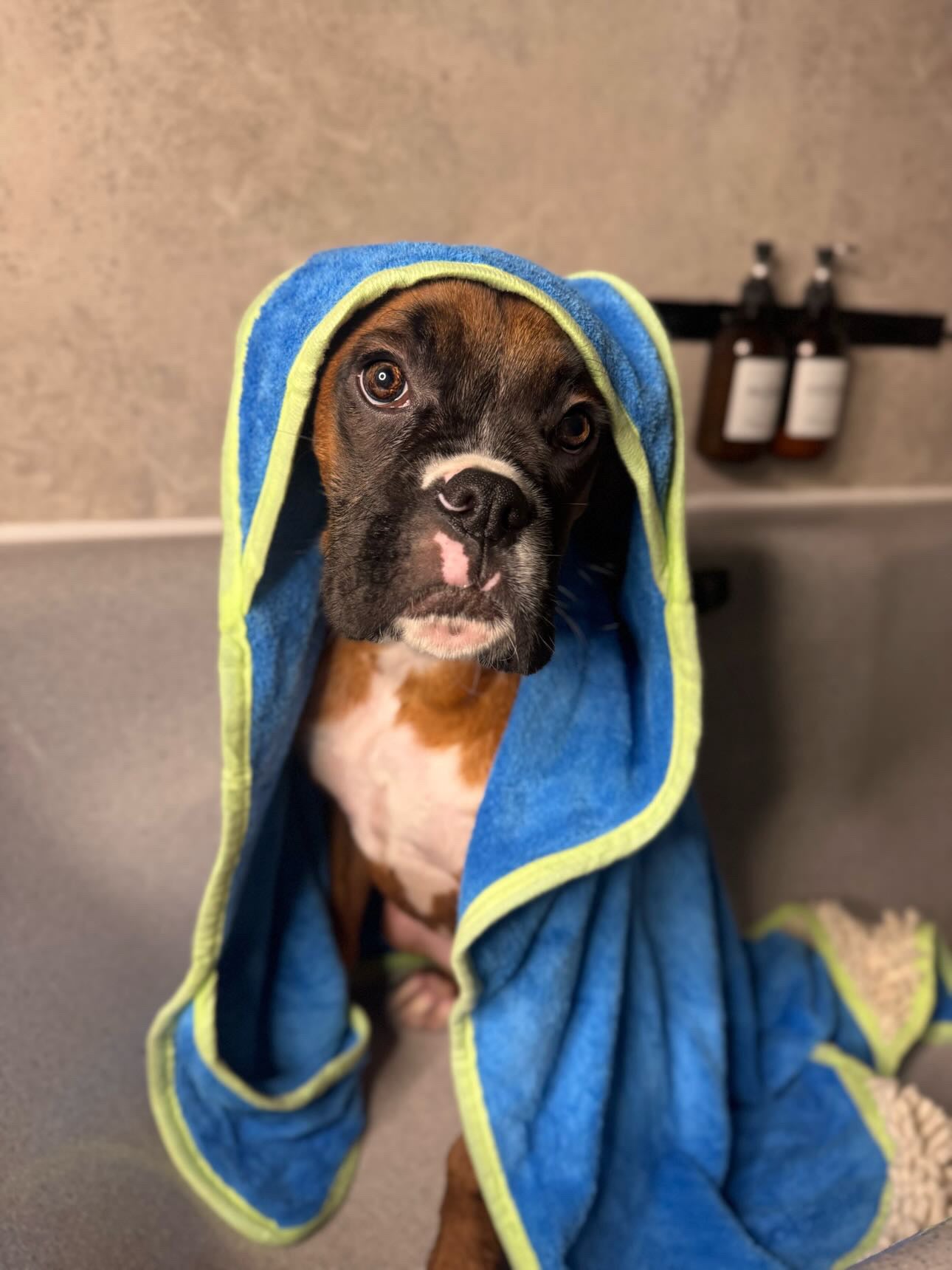 Microfibre Dog Towel
