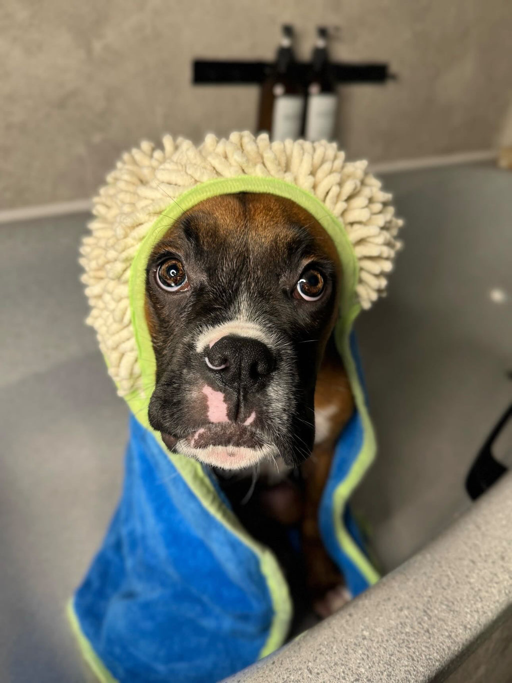 Microfibre Dog Towel