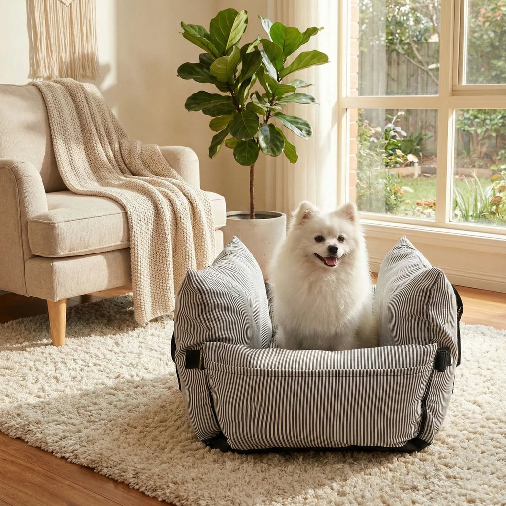 Dog Car Seat