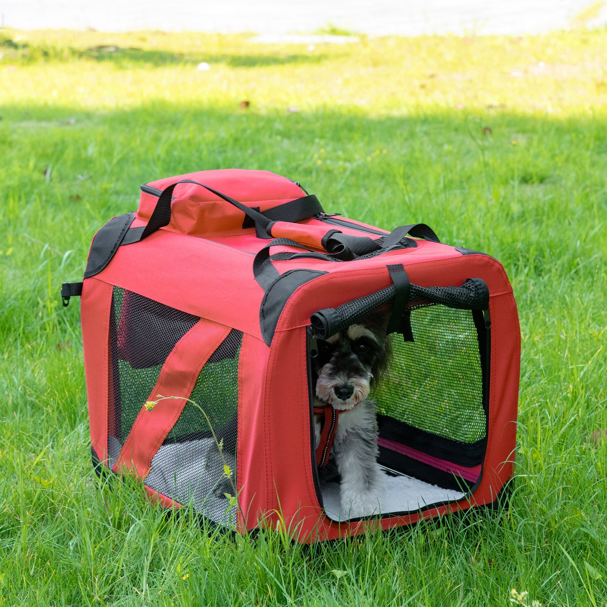 Pet Carrier (Small)
