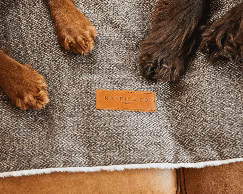 Luxury Pet Blanket
