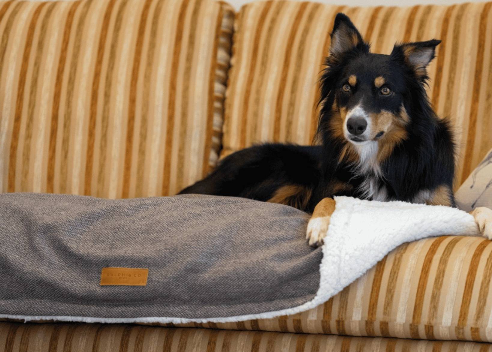Luxury Pet Blanket