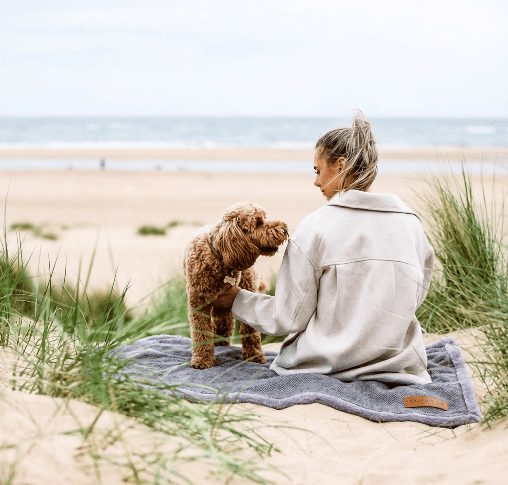 Luxury Pet Blanket